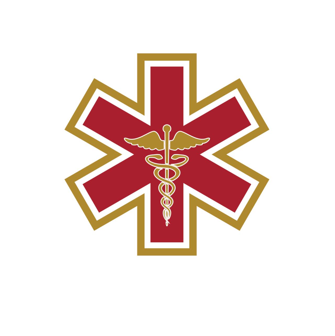 Indiana Emergency Services Workforce Bowen Health Workforce