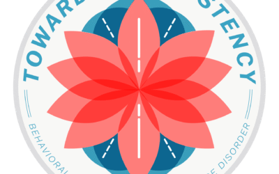 Webinar Recording: Strengthening the Behavioral Health Paraprofessional Workforce